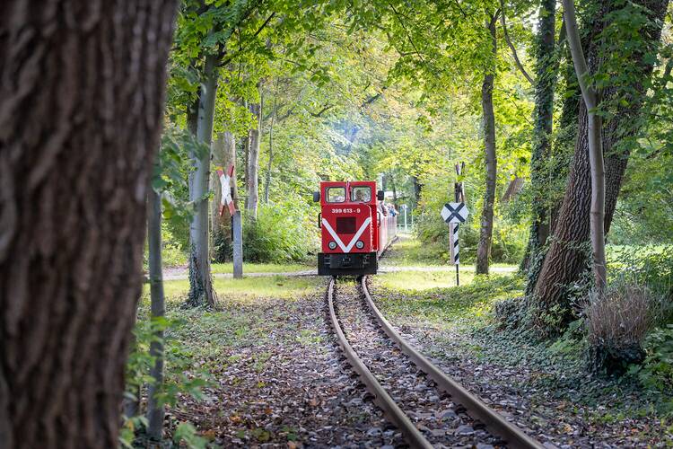 Parkeisenbahn Peißnitzexpress Halle