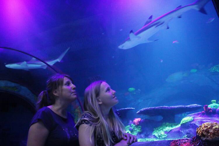 SEA LIFE Konstanz