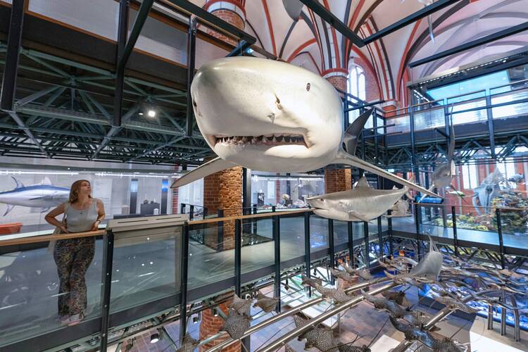 Meeresmuseum Stralsund