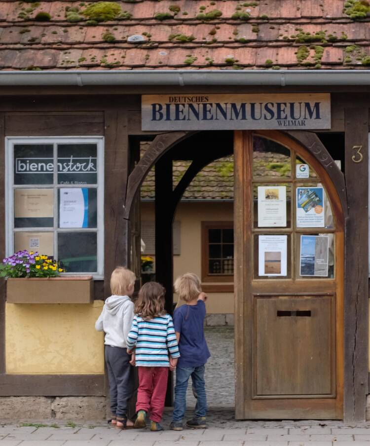 Bienenmuseum Weimar