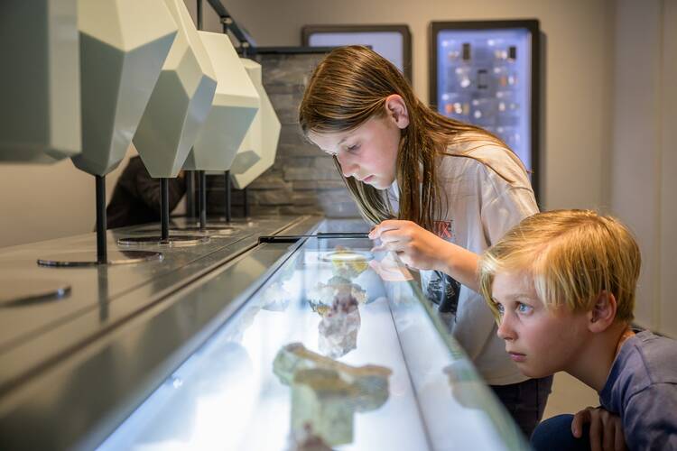 Museum Natur und Mensch Freiburg