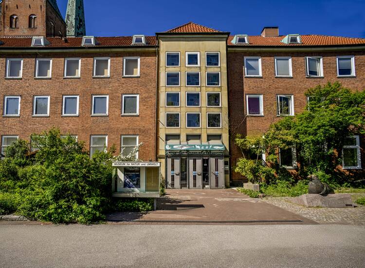 Lübeck Museum für Natur und Umwelt