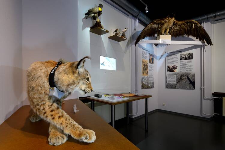 Naturkunde-Museum Bielefeld