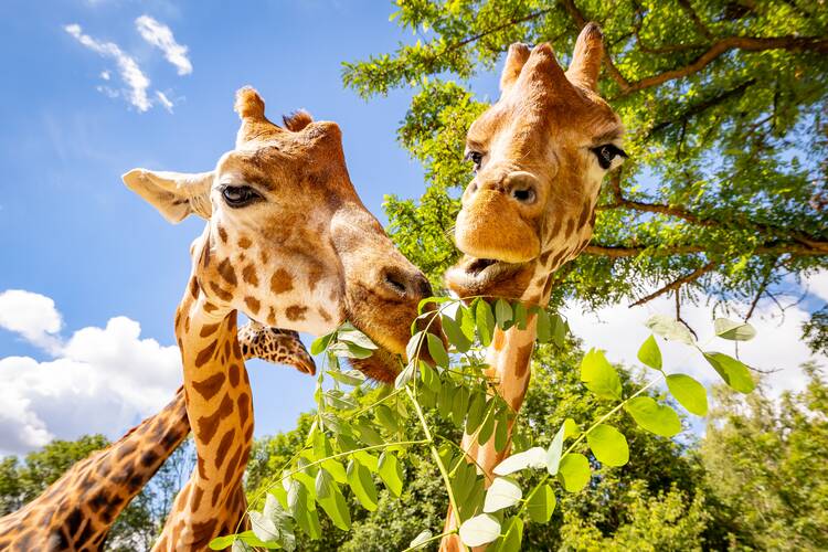 Tierpark Berlin