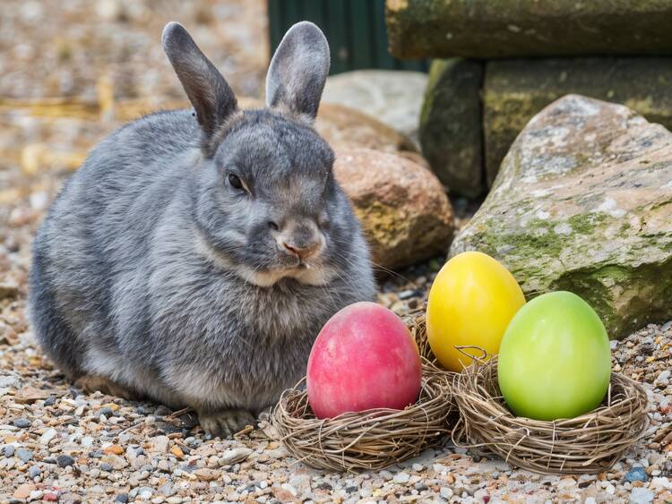 Wildpark Schwarze Berge Ostern