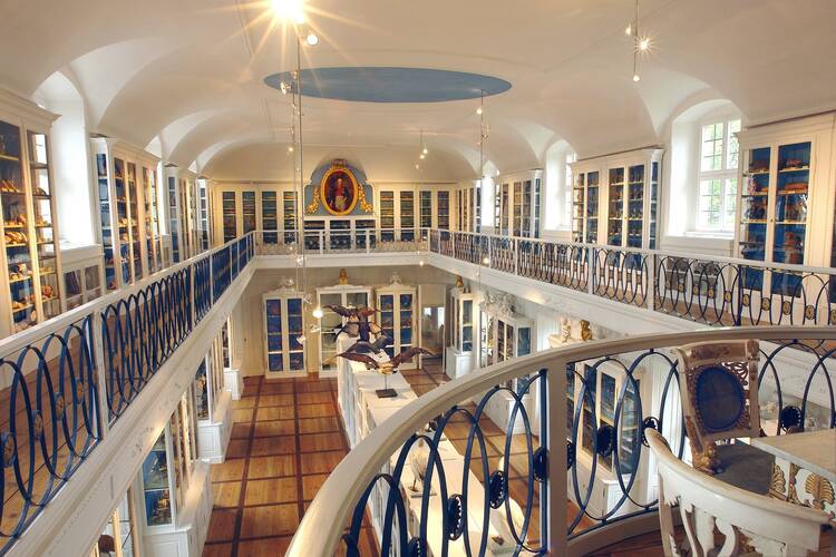 Naturkundemuseum Bamberg