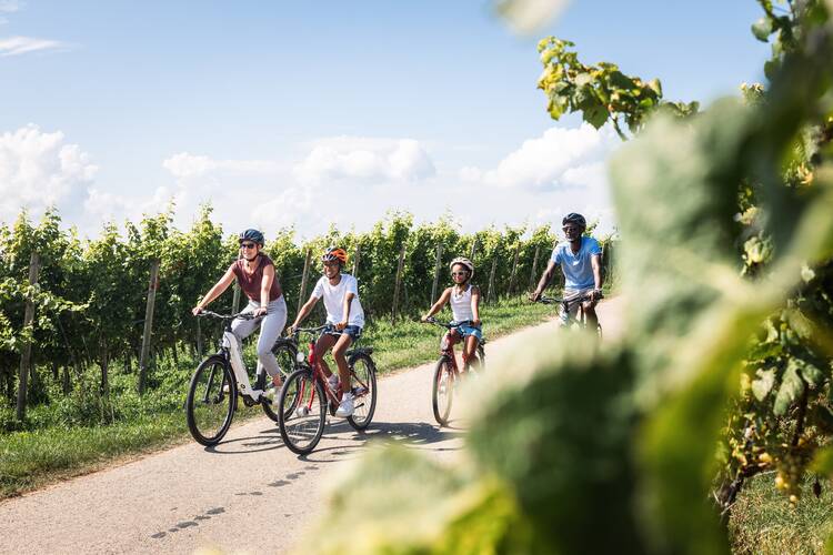 Bodensee-Radweg