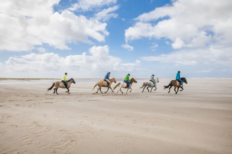 Spiekeroog Reiten