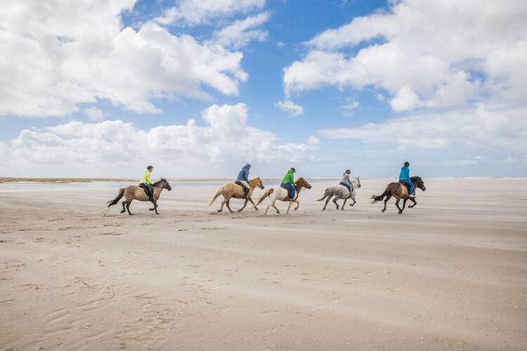 Spiekeroog Reiten