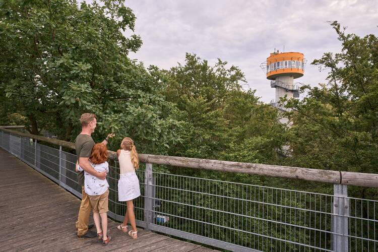 Baumkronenpfad Nationalpark Hainich Thüringen