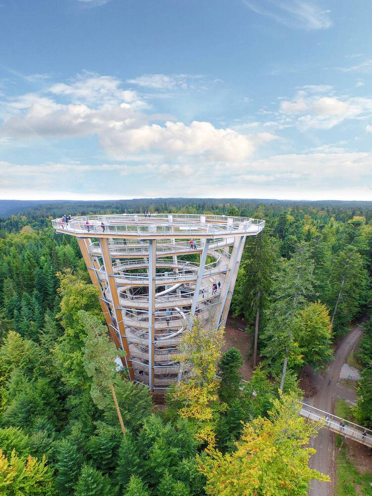 Baumwipfelpfad Usedom