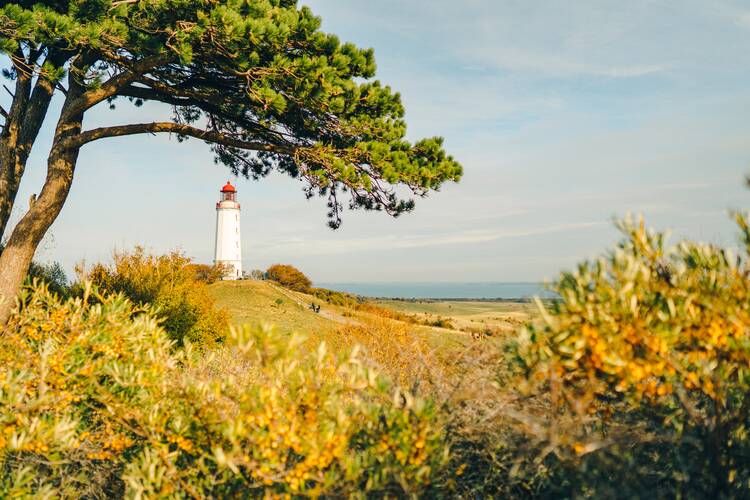 Insel Hiddensee 