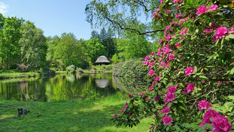 Schlosspark Lütetsburg