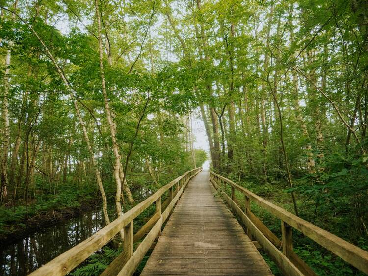  Naturpark Steinhuder Meer