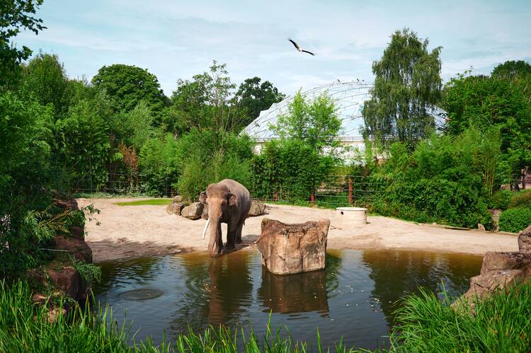 Allwetterzoo Münster