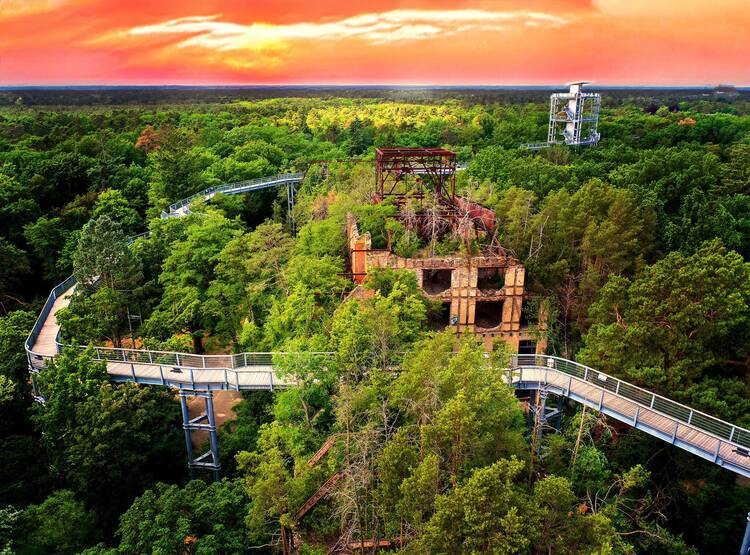 Baumkronenpfad Beelitz-Heilstätten Baum&Zeit