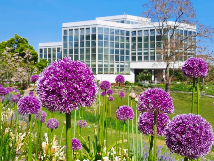 Botanischer Garten Tübingen