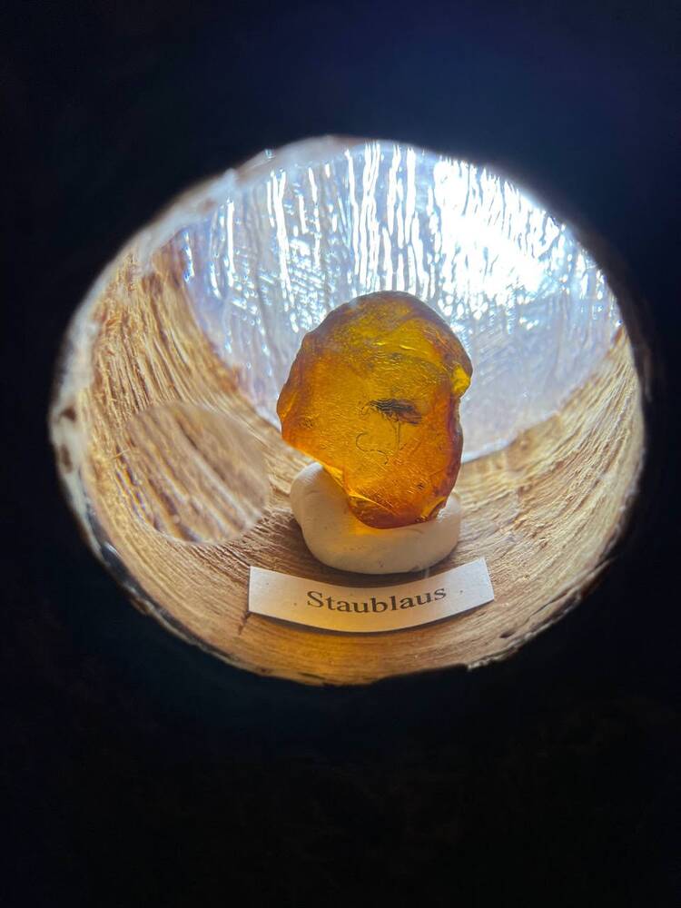 Nordsee-Bernsteinmuseum