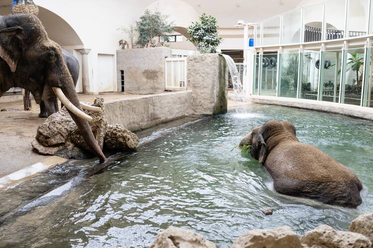Tierpark Hellabrunn München