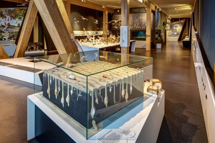 Wattenmeer Besucherzentrum Cuxhaven