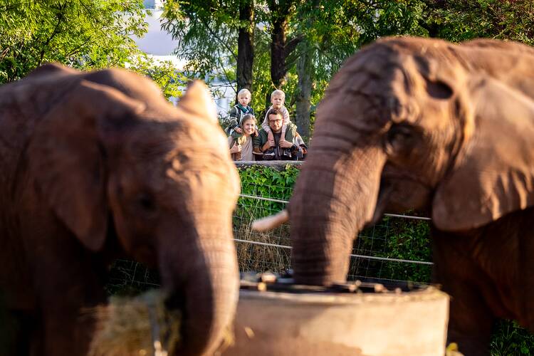 Erfurt Zoo