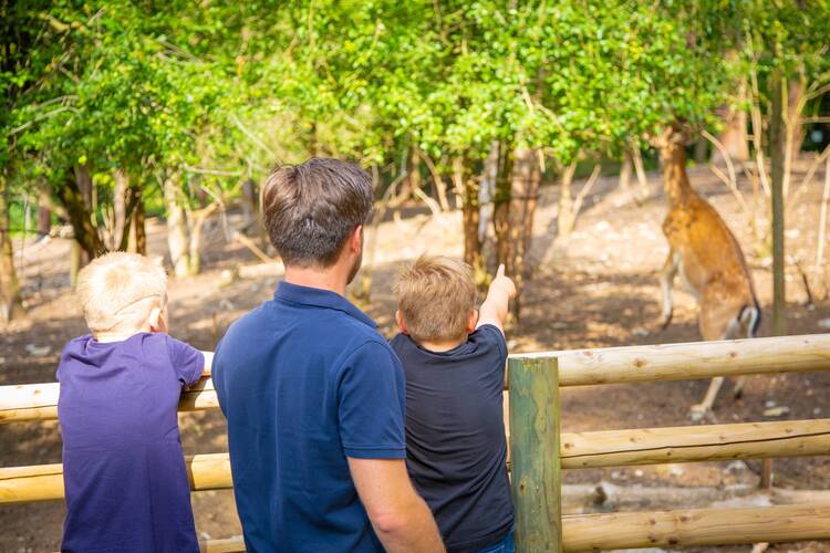 Tierpark Besucher