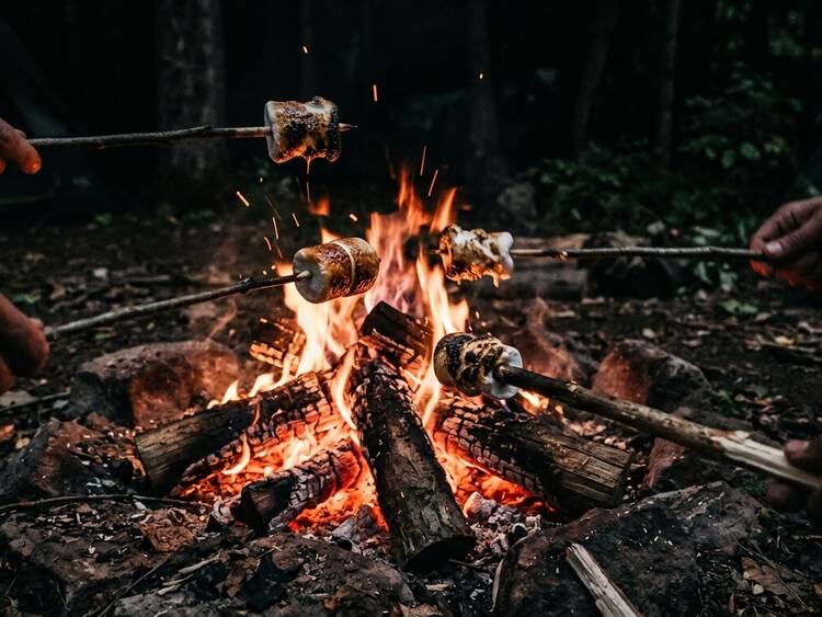 Marshmallows Lagerfeuer