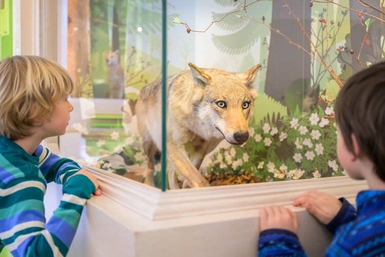 Museum Natur und Mensch Freiburg