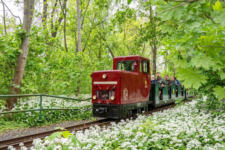 Leipzig Parkeisenbahn Auensee