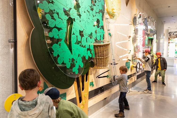 Rapunzel Welt Museum
