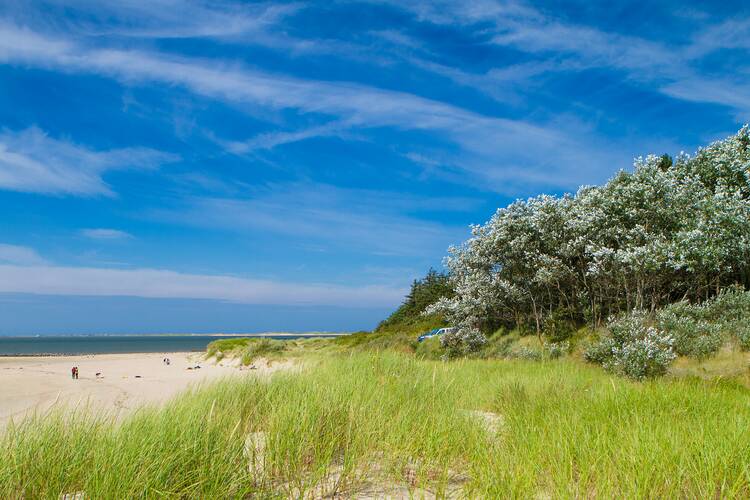 Nordseestrände Familien