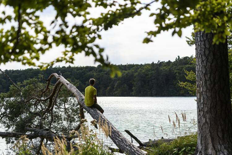 Die 24 besten Ausflugsziele & Geheimtipps in Brandenburg Brandenburg Ausflugsziele Geheimtipps