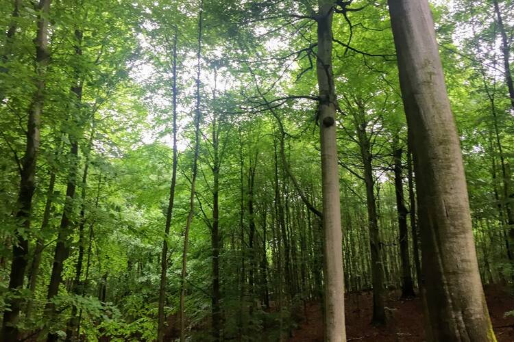 Die 10 schönsten Nationalparks in Deutschland Nationalparks Deutschland