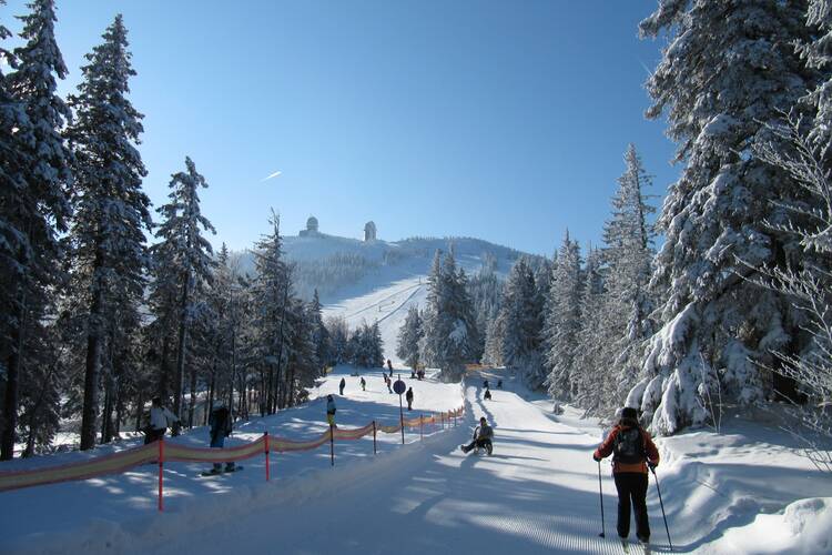 Rodeln Bayerischer Wald