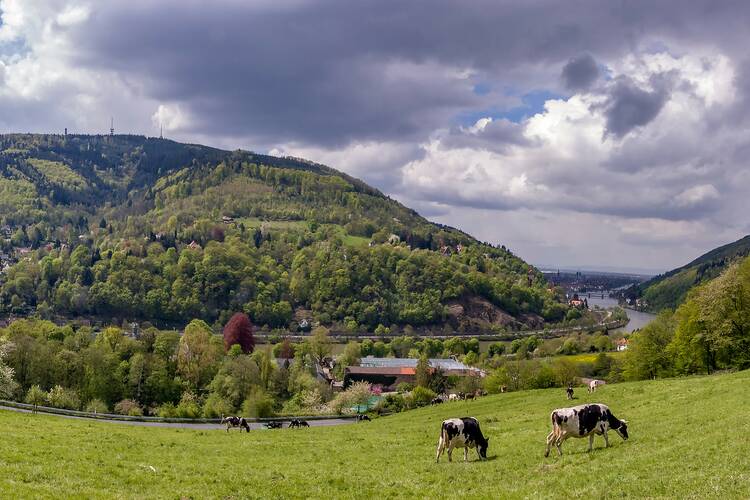 Baden-Württemberg Familienurlaub