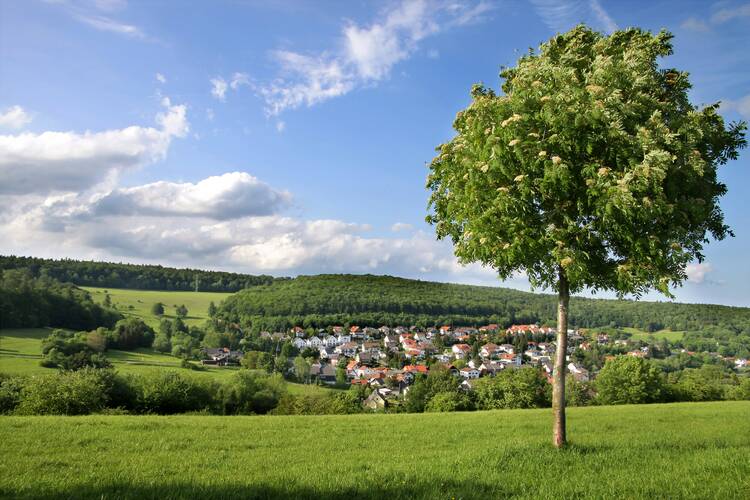 Familienurlaub Taunus