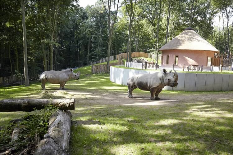 Zoo Schwerin
